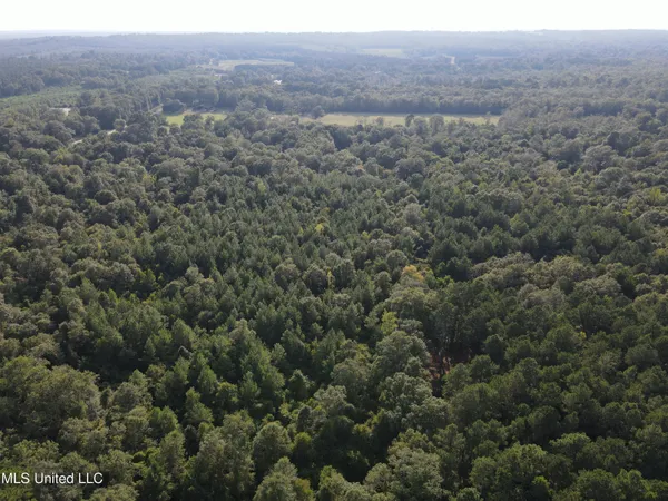 $108,000 | 0 Burnt Bridge Road, Ellisville, MS 39437