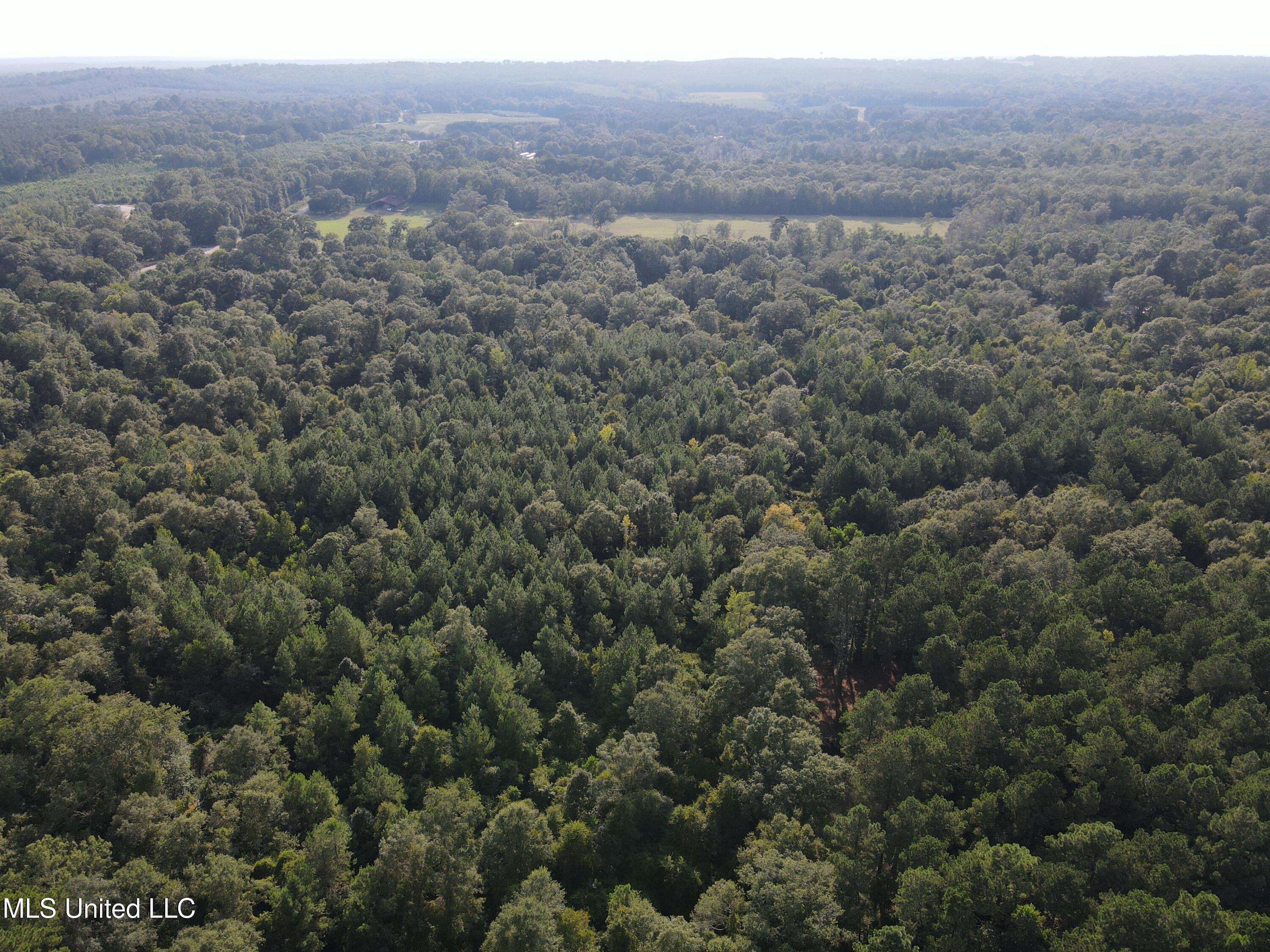 0 Burnt Bridge Road Ellisville, MS 39437 - Photo 20 of 25 DJI_0079