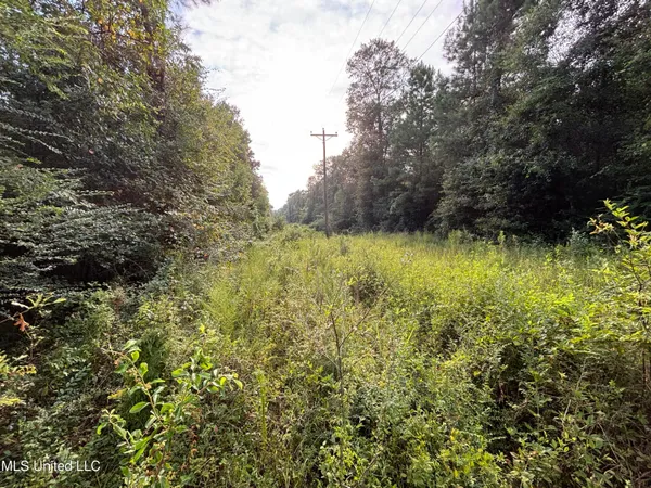 $108,000 | 0 Burnt Bridge Road, Ellisville, MS 39437