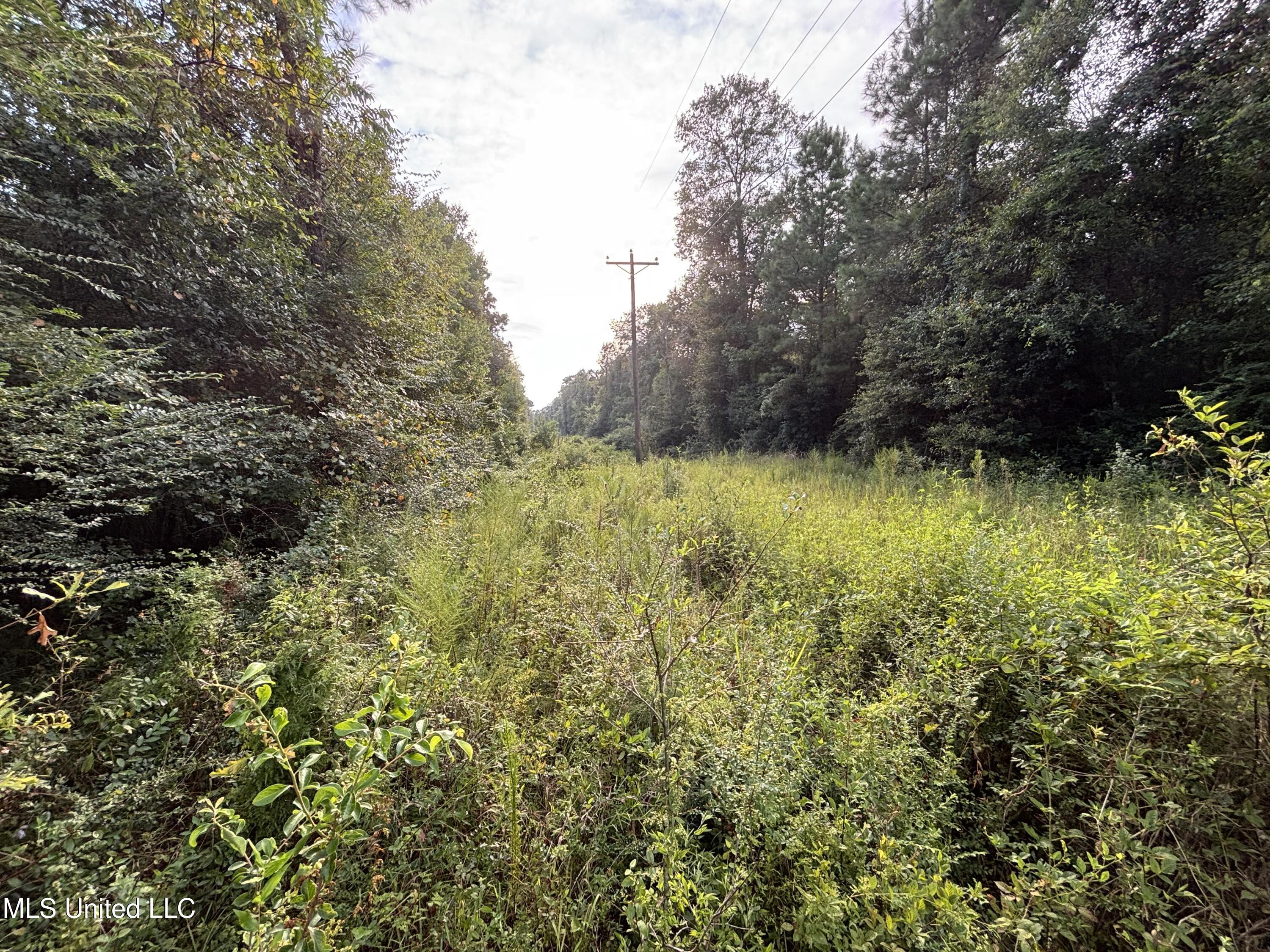 0 Burnt Bridge Road Ellisville, MS 39437 - Photo 2 of 25 IMG_0673
