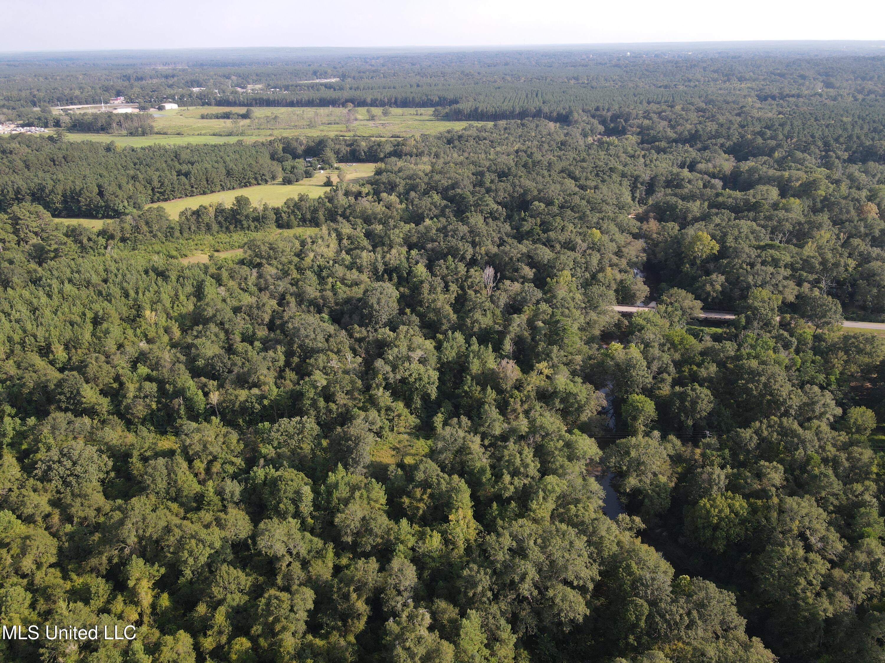 0 Burnt Bridge Road Ellisville, MS 39437 - Photo 21 of 25 DJI_0080