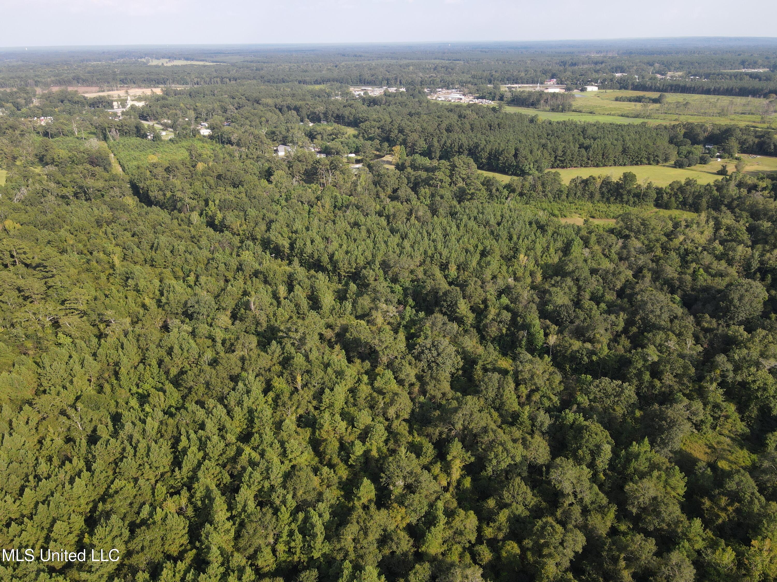 0 Burnt Bridge Road Ellisville, MS 39437 - Photo 22 of 25 DJI_0081
