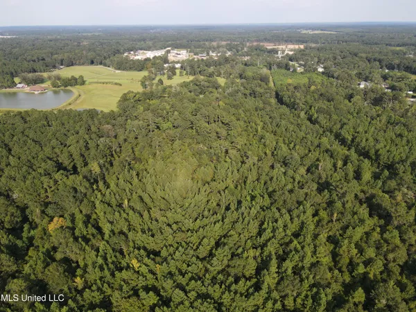 $108,000 | 0 Burnt Bridge Road, Ellisville, MS 39437