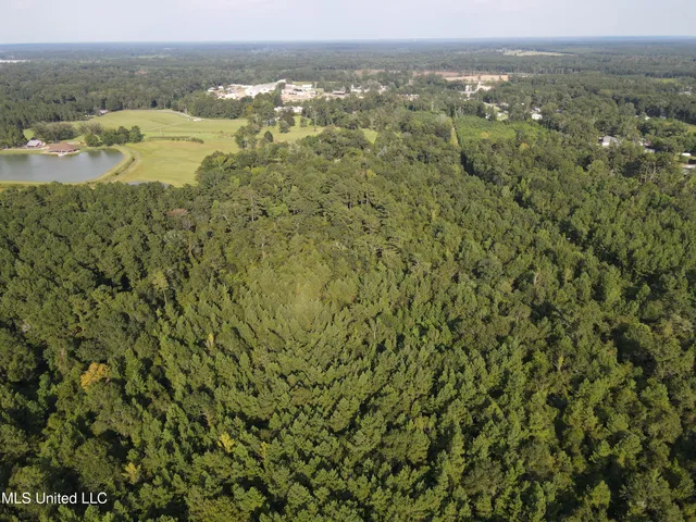 $132,000 | 0 Burnt Bridge Road, Ellisville, MS 39437