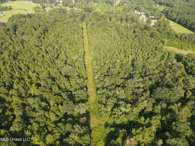 $132,000 | 0 Burnt Bridge Road, Ellisville, MS 39437