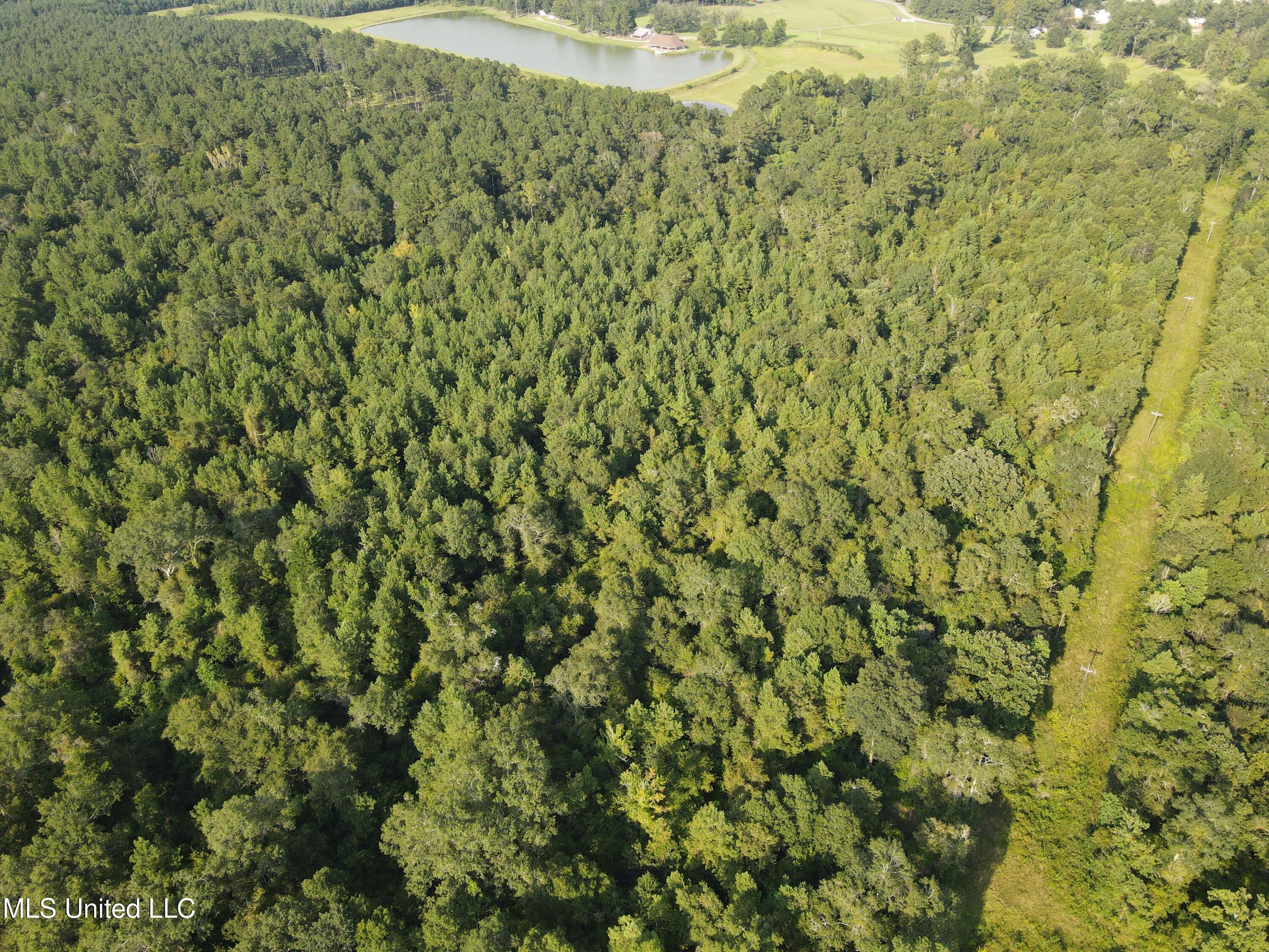 0 Burnt Bridge Road Ellisville, MS 39437 - Photo 25 of 25 DJI_0084