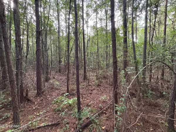 $108,000 | 0 Burnt Bridge Road, Ellisville, MS 39437