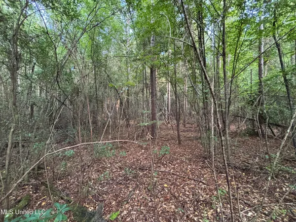 $108,000 | 0 Burnt Bridge Road, Ellisville, MS 39437