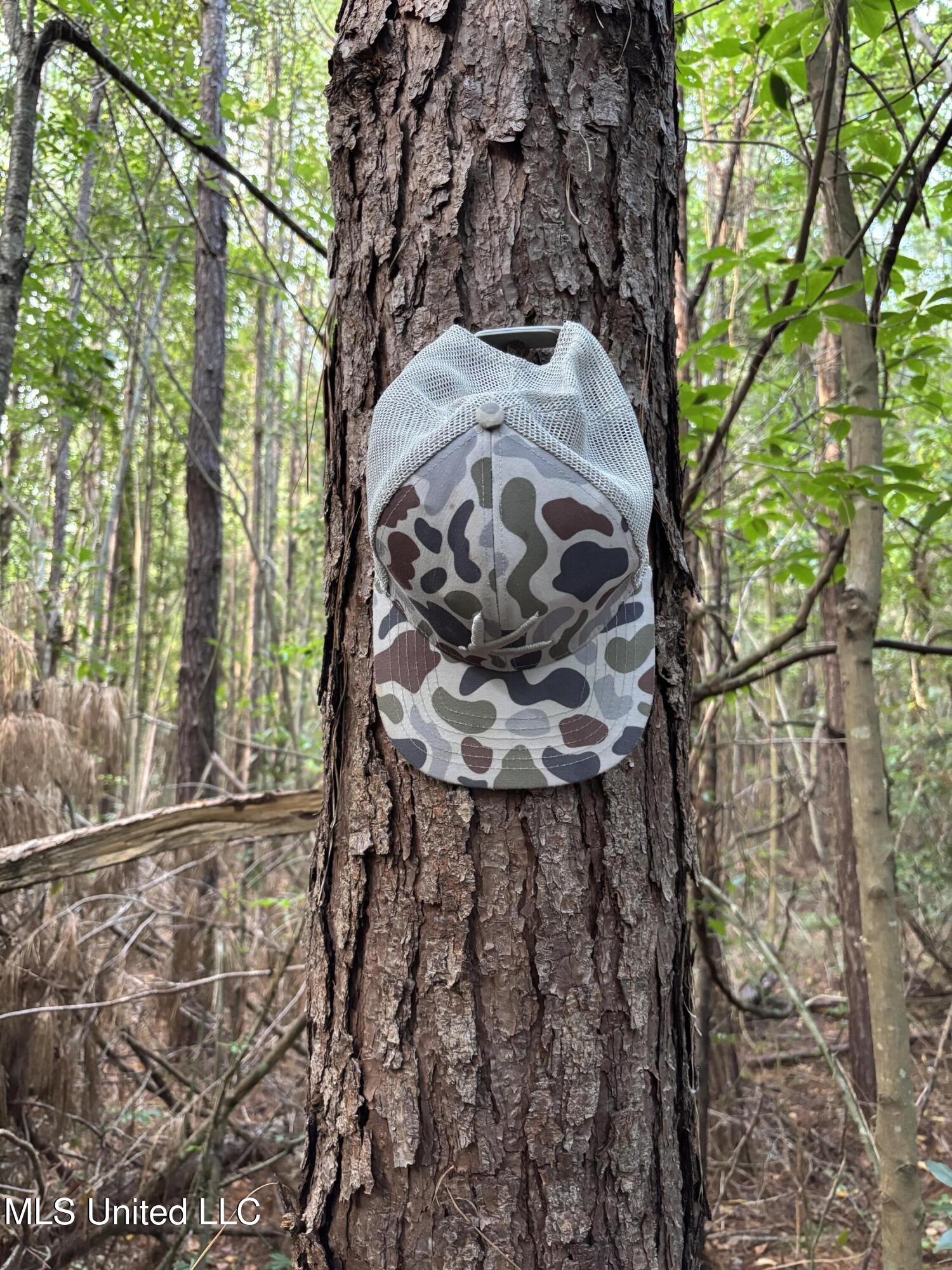 0 Burnt Bridge Road Ellisville, MS 39437 - Photo 7 of 25 IMG_0668