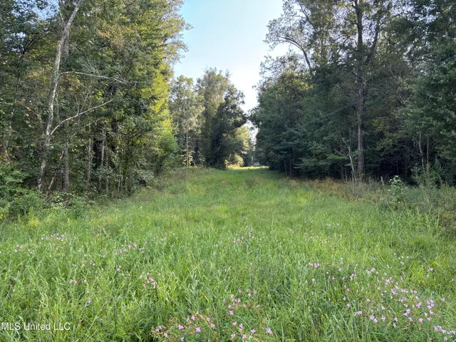 $132,000 | 0 Burnt Bridge Road, Ellisville, MS 39437