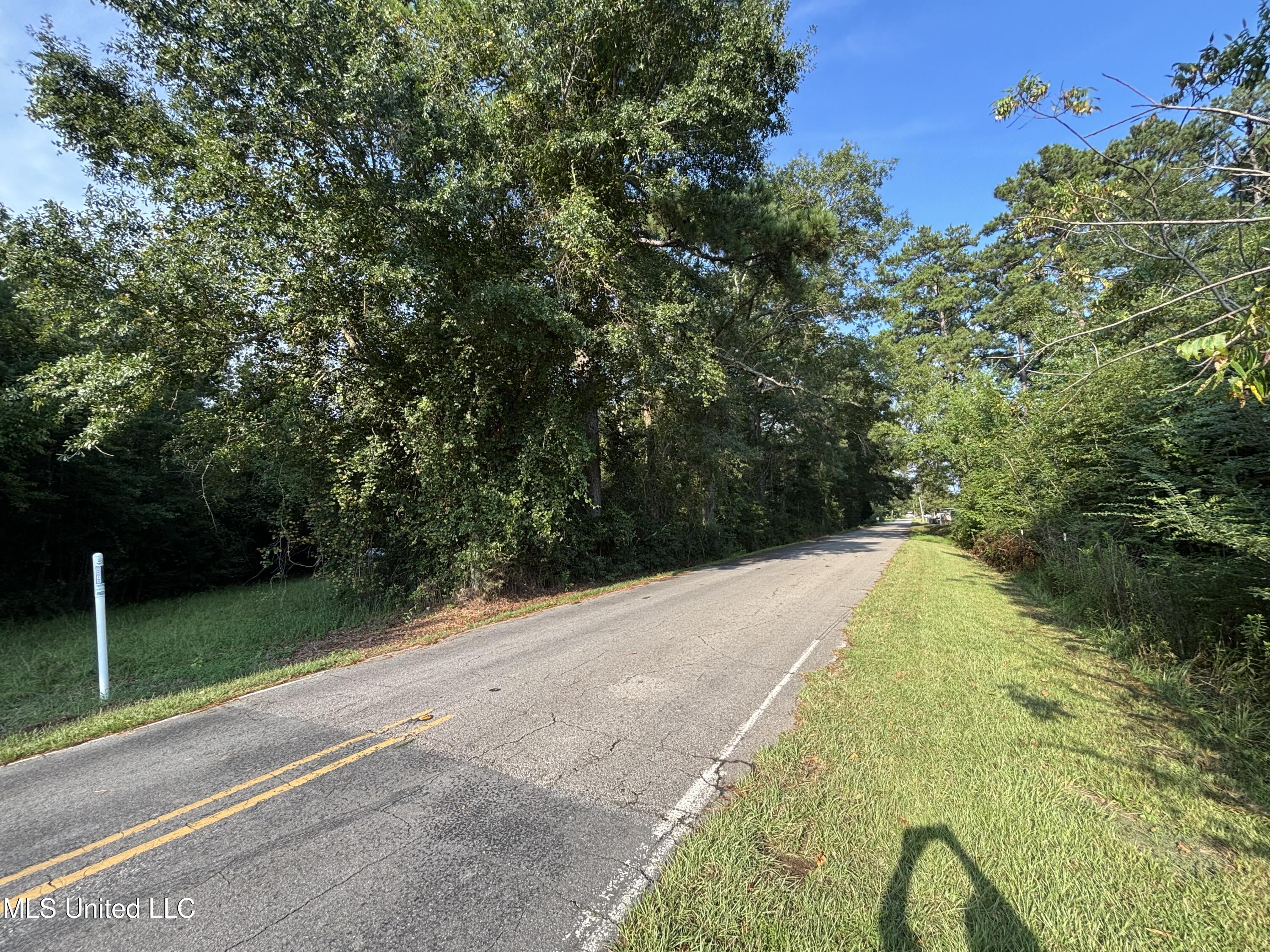 0 Burnt Bridge Road Ellisville, MS 39437 - Photo 10 of 25 IMG_0665