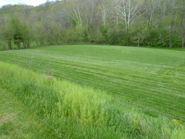 13541 Morningview Road Alexandria, KY 41001 - Photo 18 of 19 Gallery Image 18