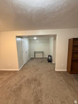 641 East Greystone Way Tooele, UT 84074 - Photo 14 of 30 Spacious carpeted room featuring a recessed area, white doors, and light-colored walls