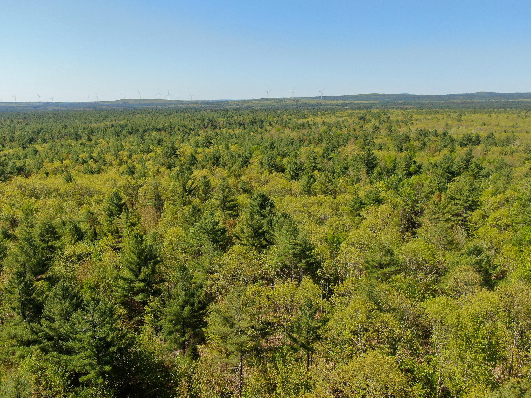 DJI_0526