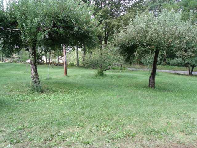 167 Chesterville Road Jay, ME 04239 - Photo 7 of 22 Yard/Garden.