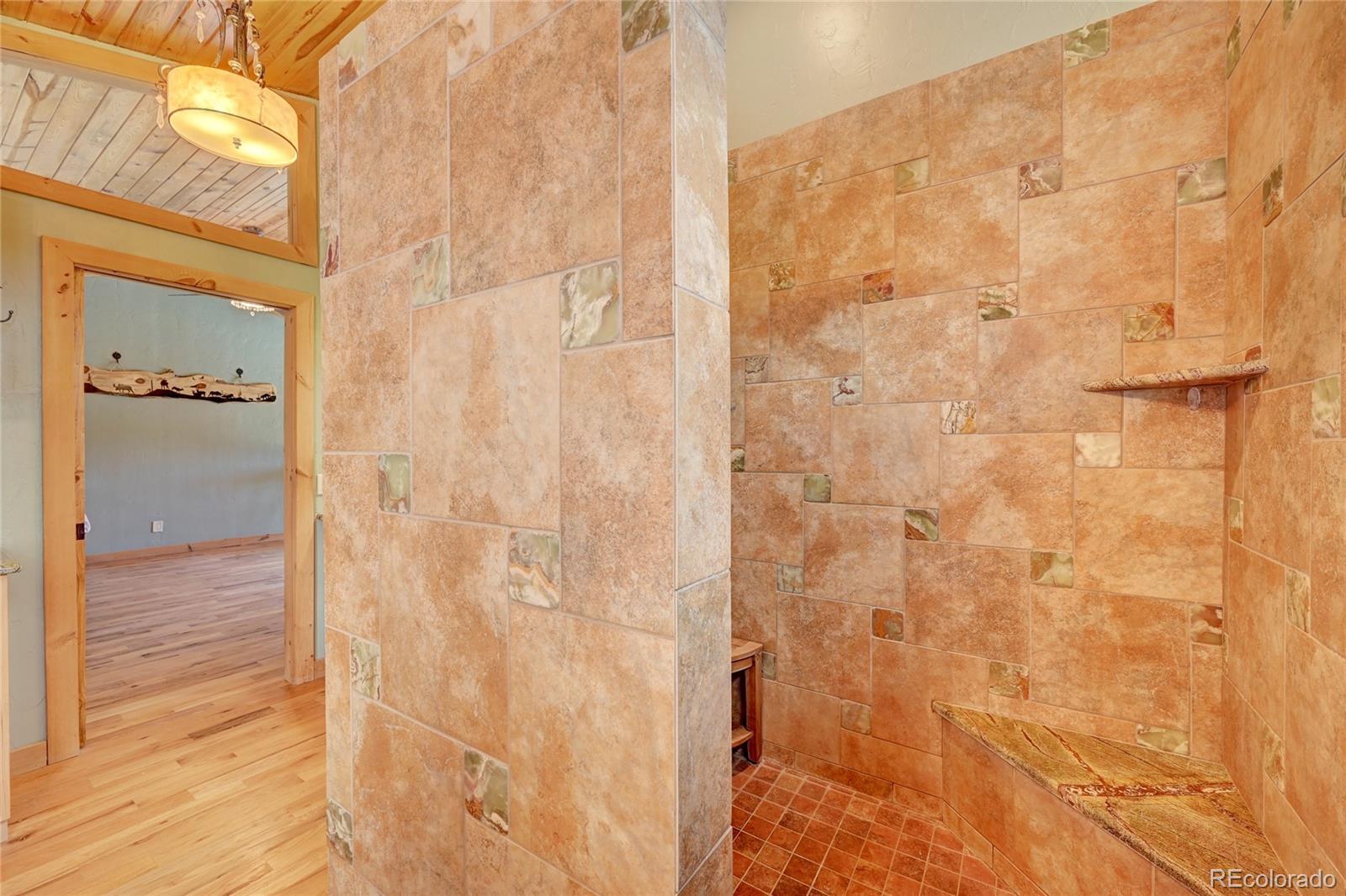 526 Rising Sun Road Bailey, CO 80421 - Photo 33 of 40 a bathroom with a shower