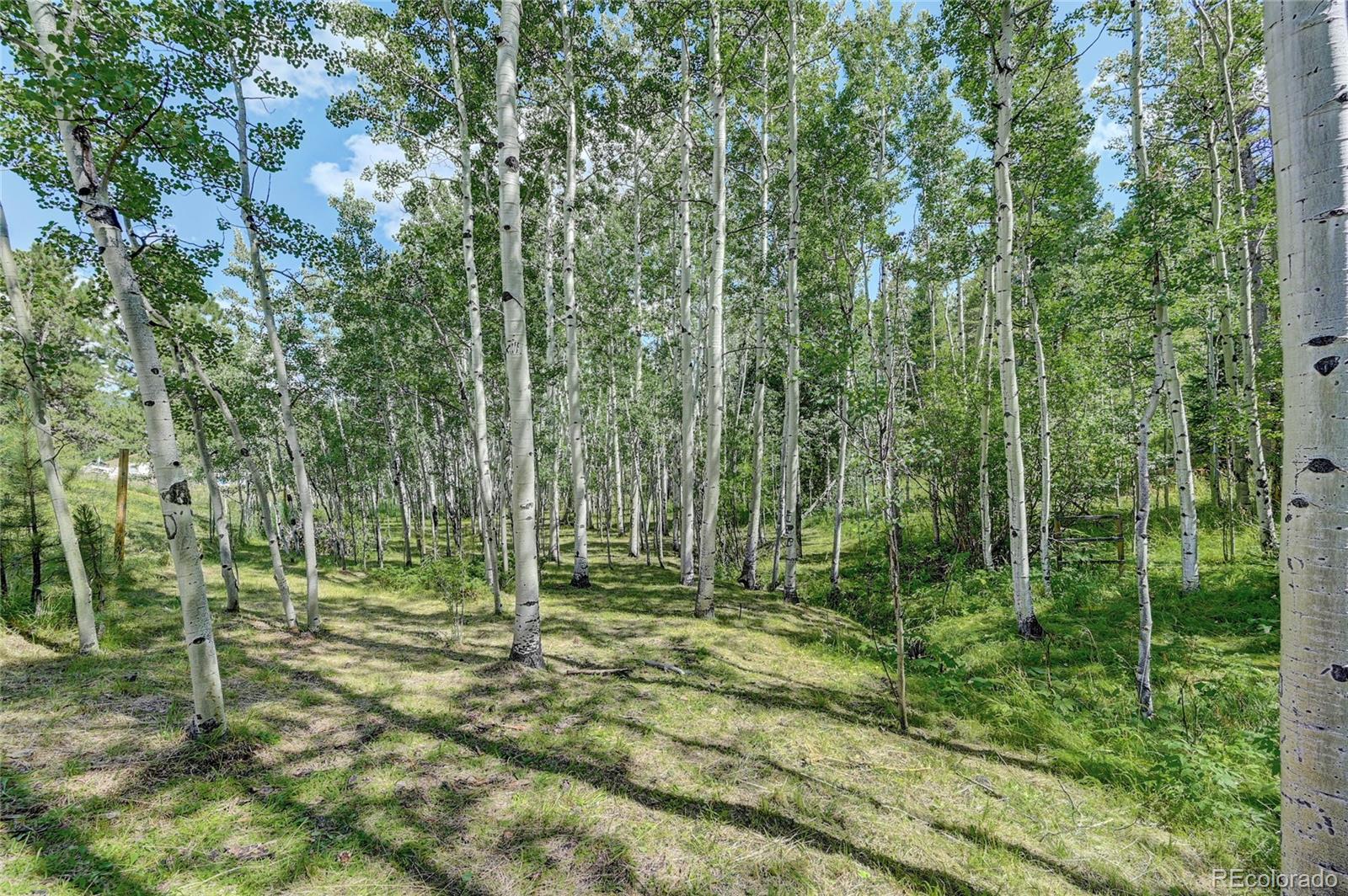 526 Rising Sun Road Bailey, CO 80421 - Photo 35 of 40 a view of outdoor space and trees