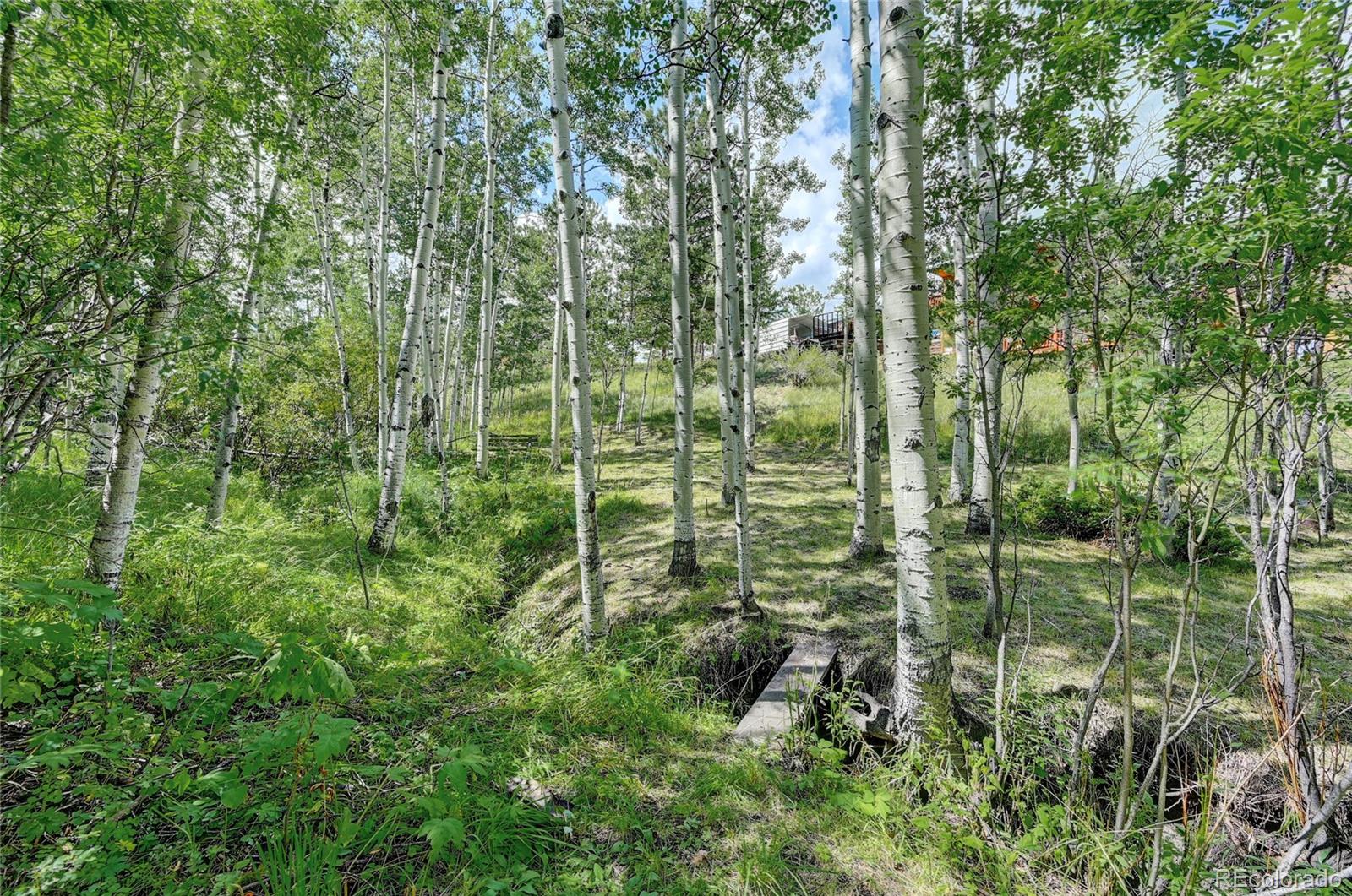526 Rising Sun Road Bailey, CO 80421 - Photo 36 of 40 a view of a garden
