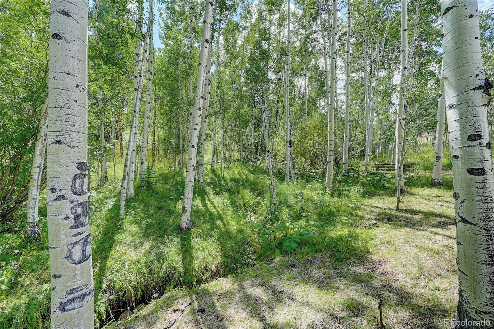 526 Rising Sun Road Bailey, CO 80421 - Photo 9 of 40