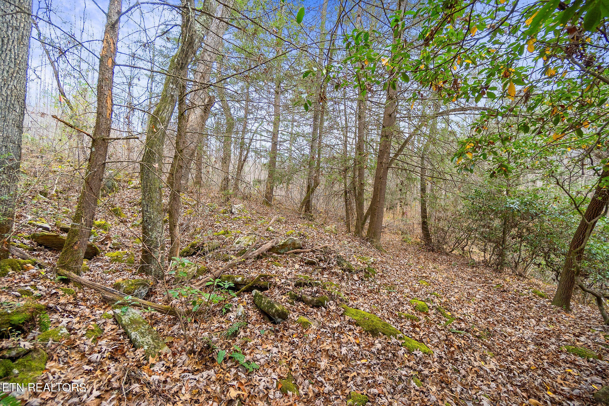 364 Open Range Road Crossville, TN 38555 - Photo 14 of 27 Gallery Image 14