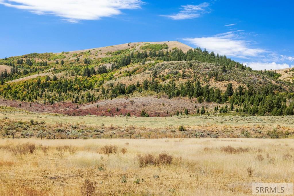 6013 Nounan Road Montpelier, ID 83254 - Photo 45 of 62