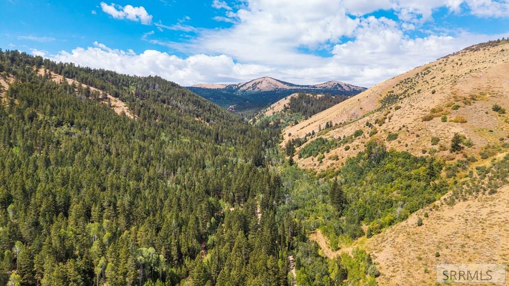 6013 Nounan Road Montpelier, ID 83254 - Photo 61 of 62