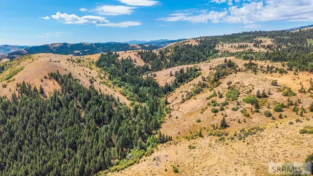 $450,000 | 6013 Nounan Road, Montpelier, ID 83254