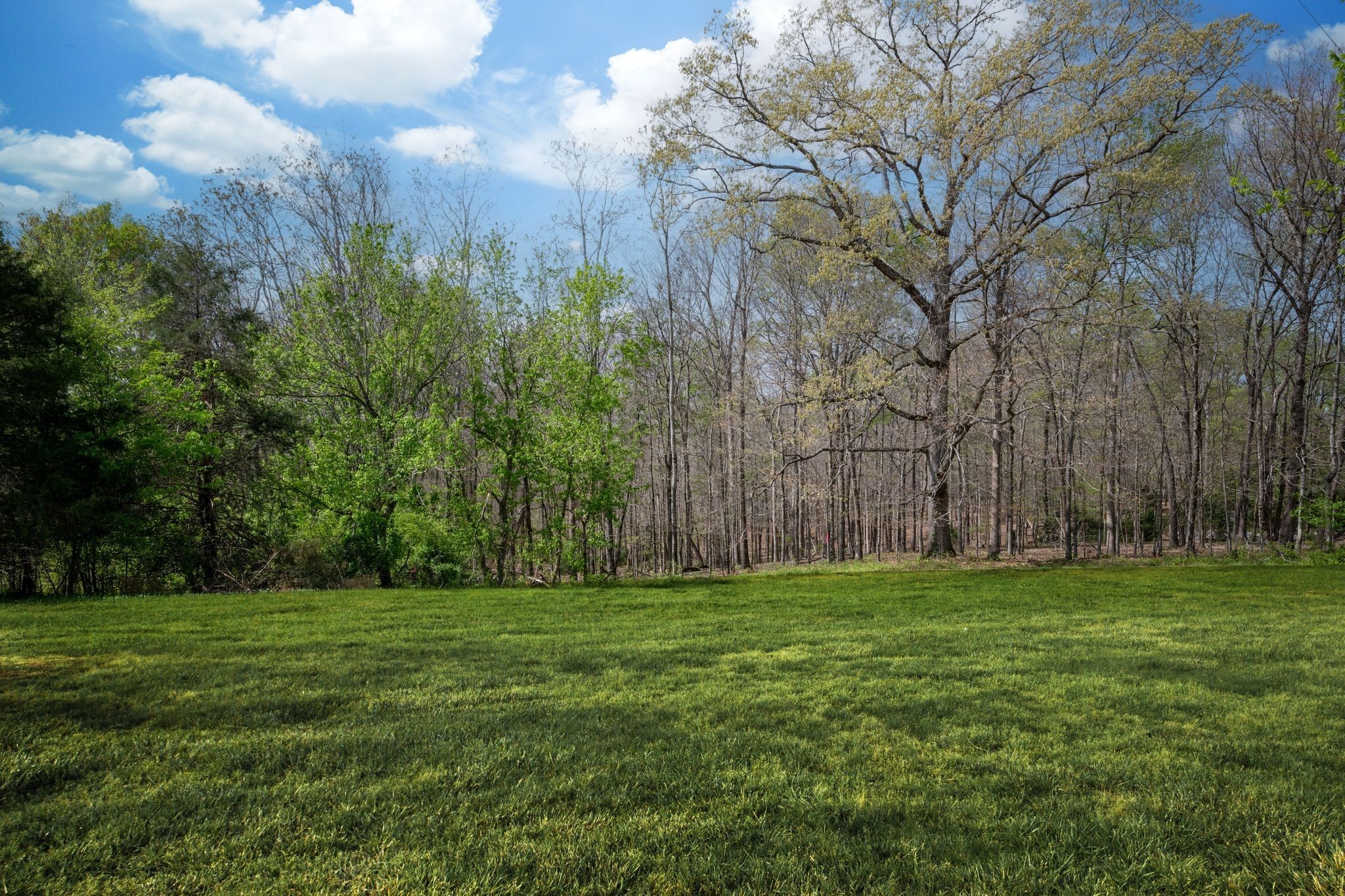 1424 East Piney Road Dickson, TN 37055 - Photo 3 of 29