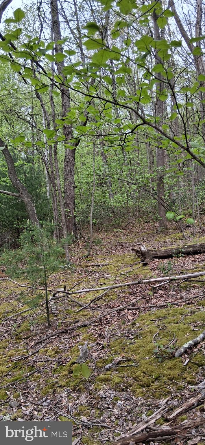 0 Teaberry Road Bedford, PA 15522 - Photo 5 of 28 a view of a lake view