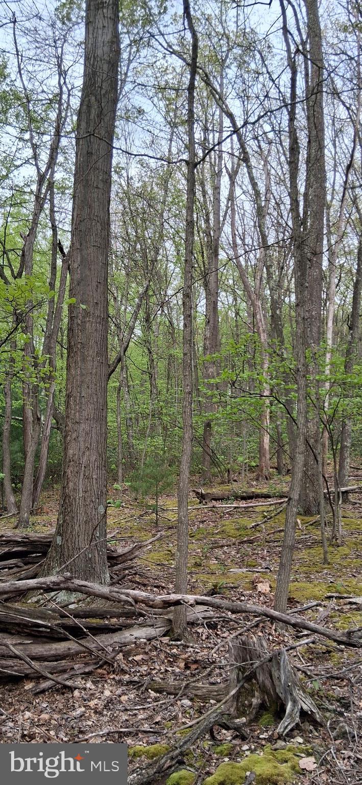 0 Teaberry Road Bedford, PA 15522 - Photo 6 of 28 a backyard of a house with lots of green space