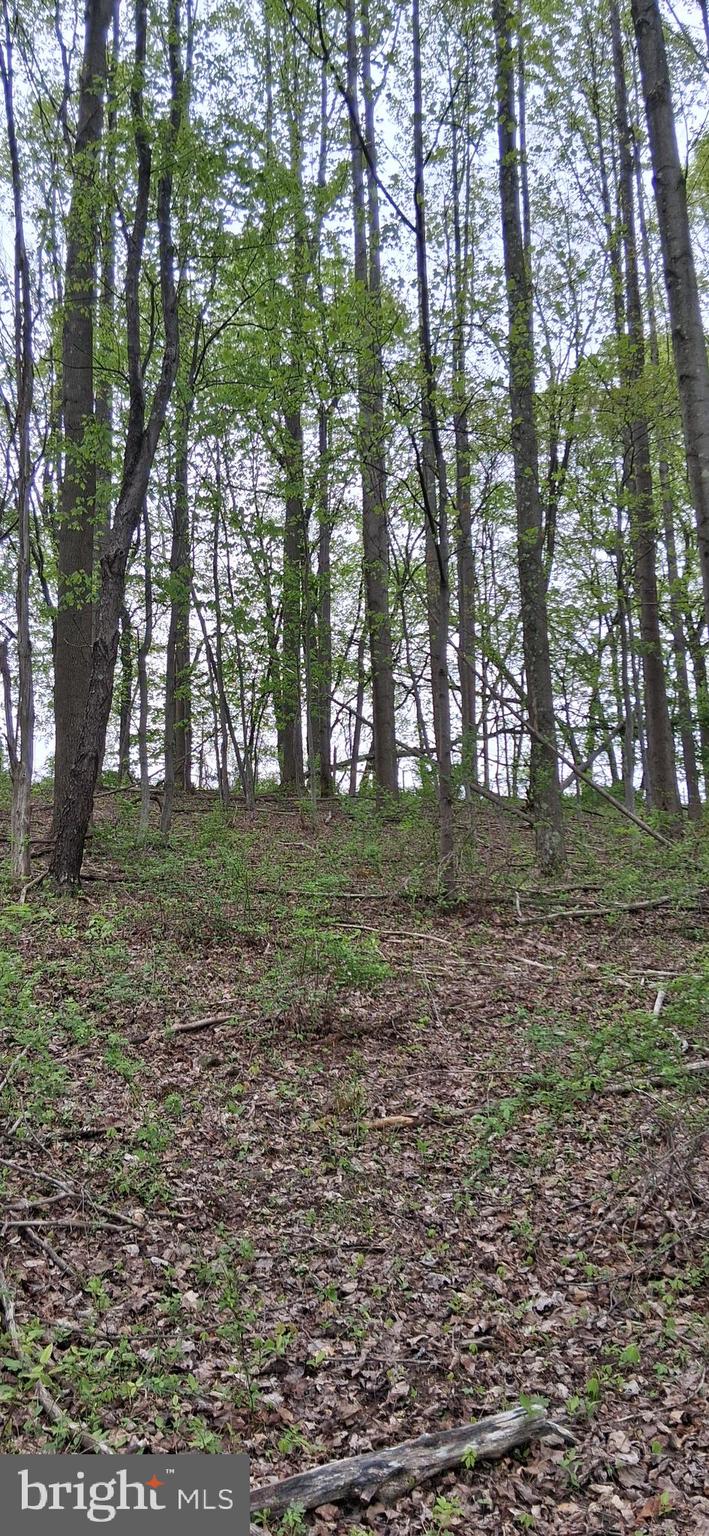 0 Teaberry Road Bedford, PA 15522 - Photo 8 of 28 a backyard of a house with lots of green space