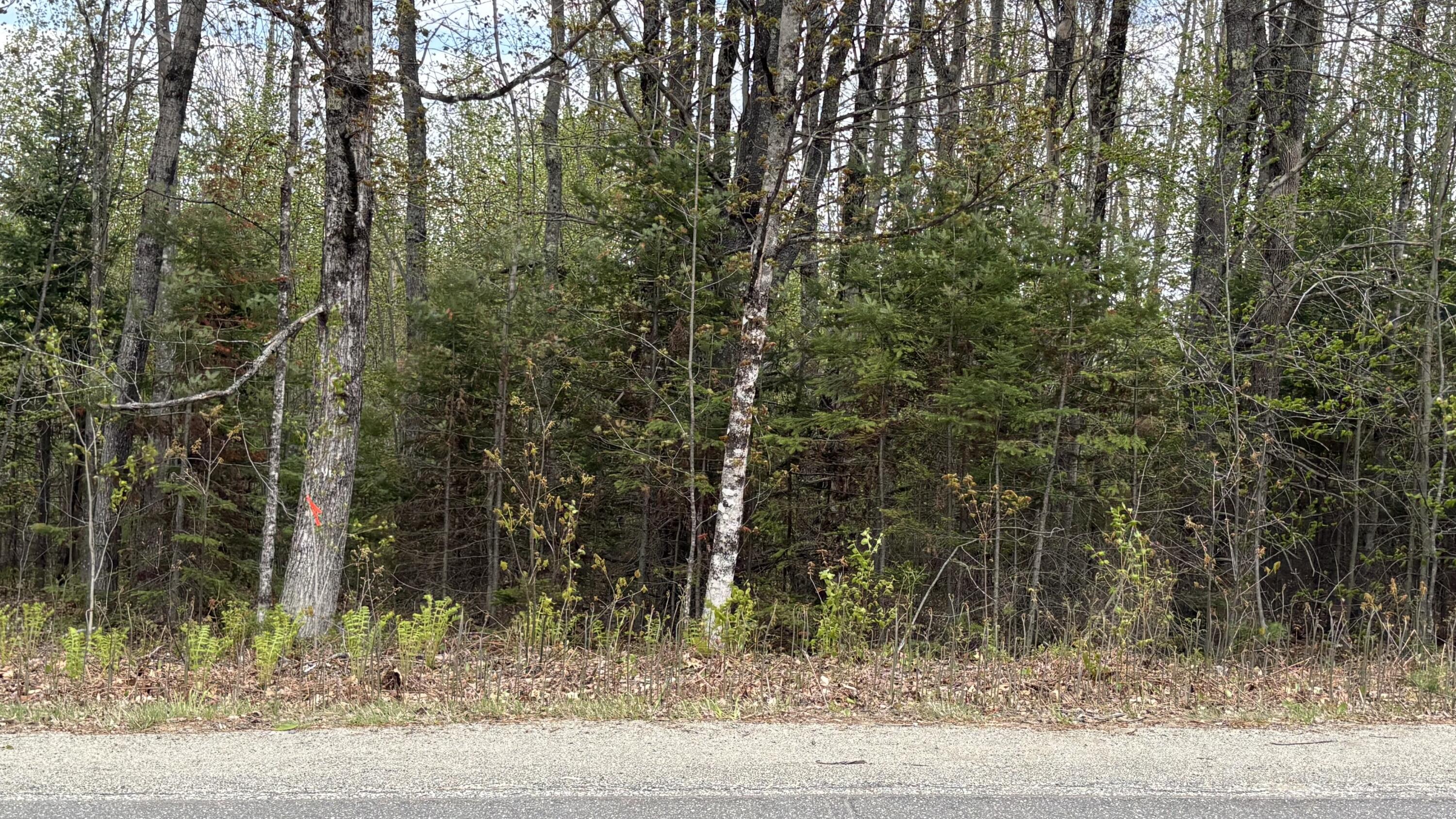 Lot #042 Tower Road, Unit M 005 L 042 Vienna, ME 04360 - Photo 8 of 12 IMG_9427