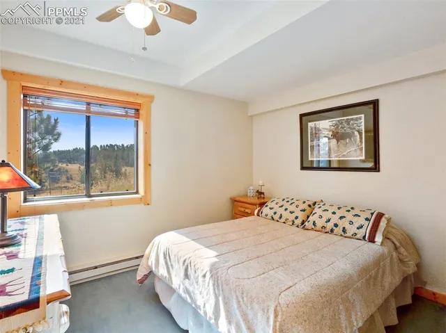 $899,900 | 656 Witcher Mtn. Road, Guffey, CO 80820