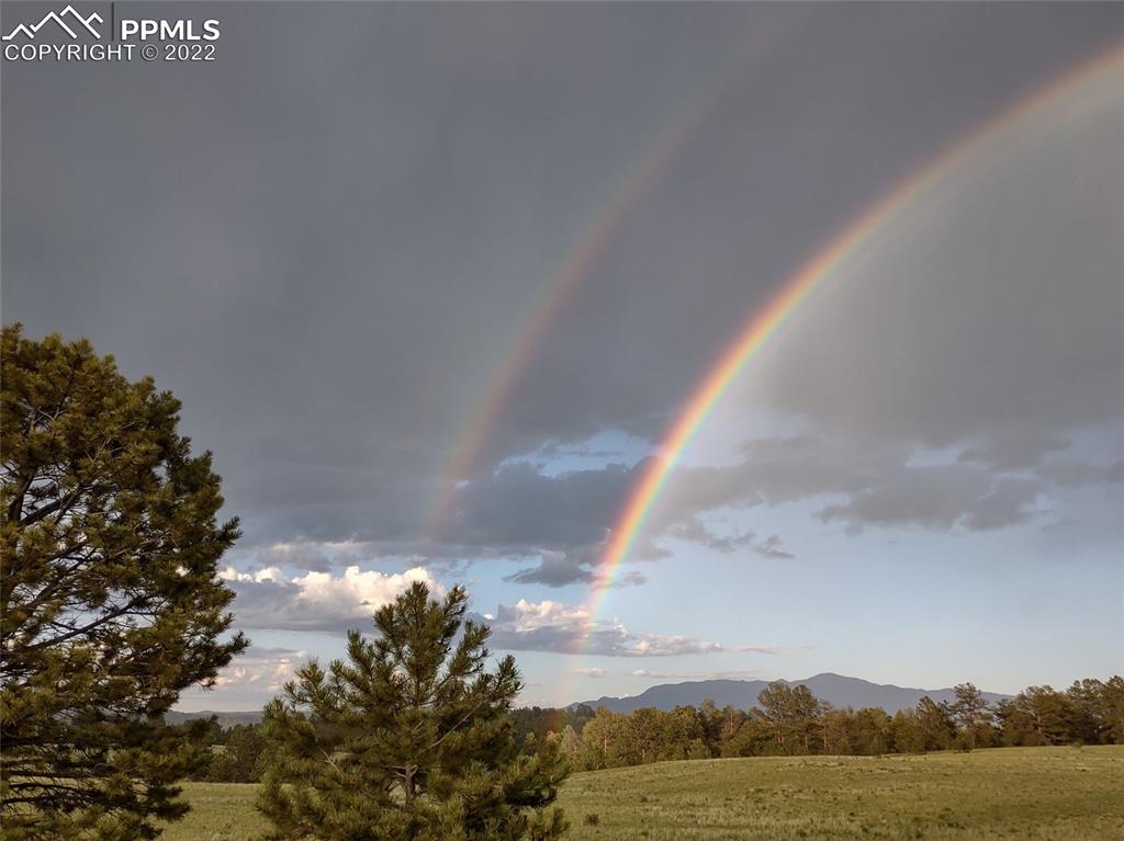 656 Witcher Mtn. Road Guffey, CO 80820 - Photo 41 of 41