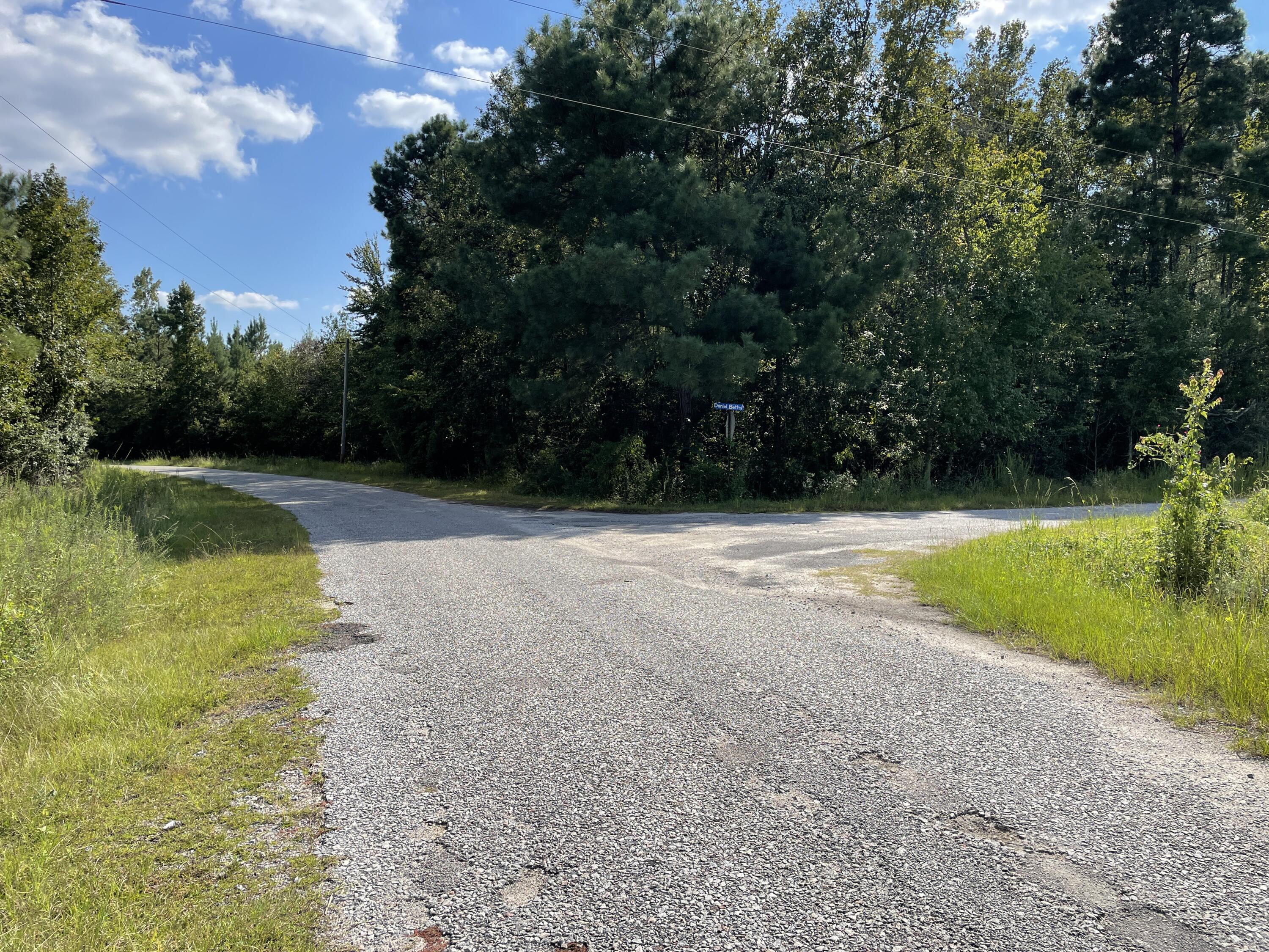 0 Daniel Betty Road Reevesville, SC 29471 - Photo 13 of 24 Photo Sep 15, 15 52 01