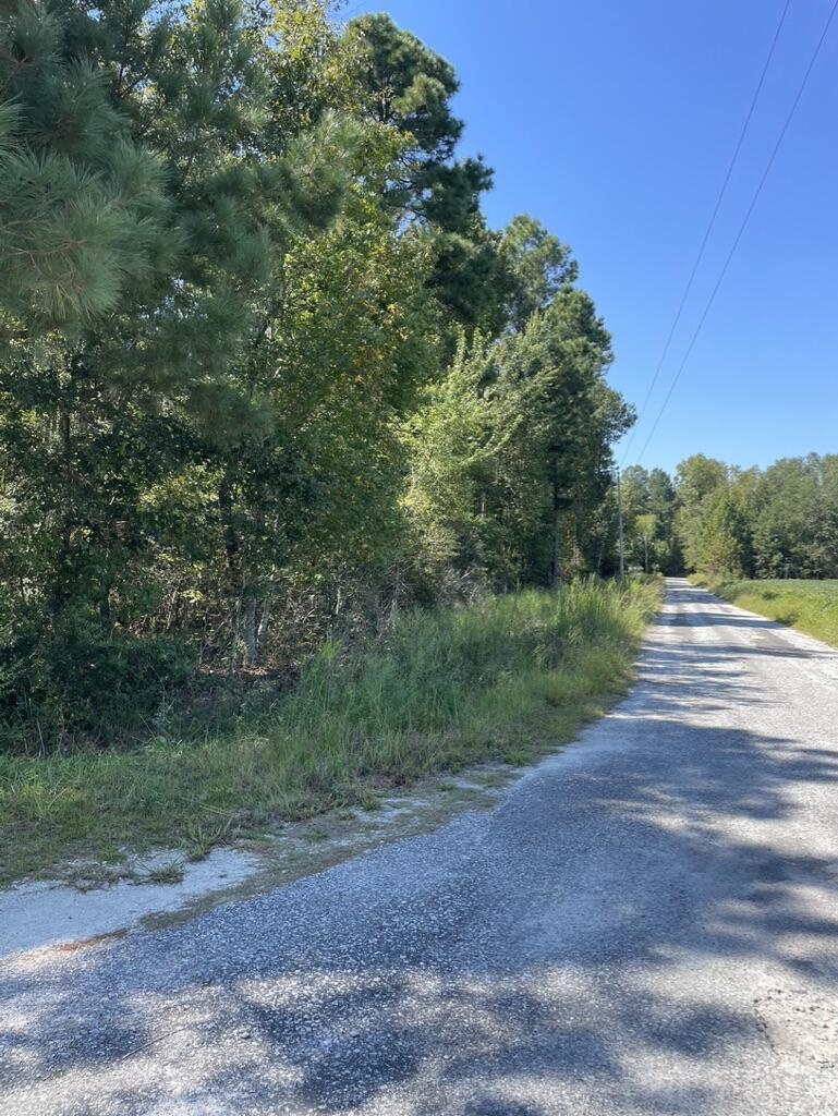 0 Daniel Betty Road Reevesville, SC 29471 - Photo 15 of 24 2CF7BC62-2879-47B9-A0AE-27C9C2A6B855_1_1