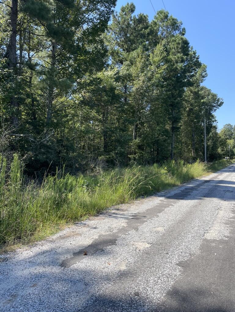 0 Daniel Betty Road Reevesville, SC 29471 - Photo 16 of 24 4A08504D-316B-42D6-8873-1372C181C550_1_1