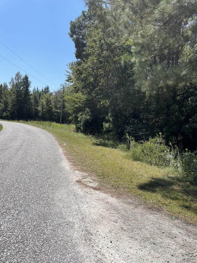 0 Daniel Betty Road Reevesville, SC 29471 - Photo 18 of 24 26F8E57D-1F74-4585-BE9A-B2E810B39208_1_1