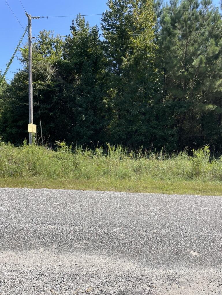 0 Daniel Betty Road Reevesville, SC 29471 - Photo 19 of 24 DC9D2101-39F4-4FA1-8765-9C1F30089246_1_1