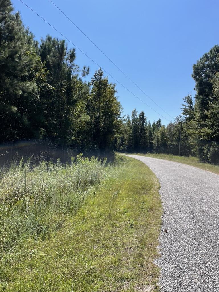 0 Daniel Betty Road Reevesville, SC 29471 - Photo 20 of 24 82120E49-DD12-4BB5-9364-86B7E83C7348_1_1