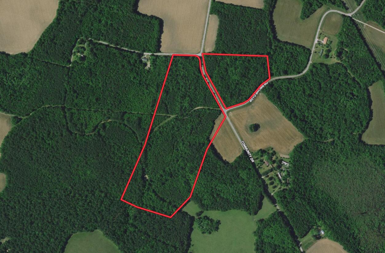 0 Daniel Betty Road Reevesville, SC 29471 - Photo 2 of 24 unnamed