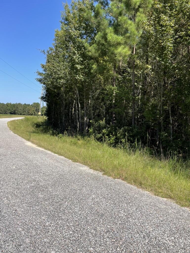 0 Daniel Betty Road Reevesville, SC 29471 - Photo 21 of 24 7F276166-86B1-48FB-A305-B1D970F51B02_1_1