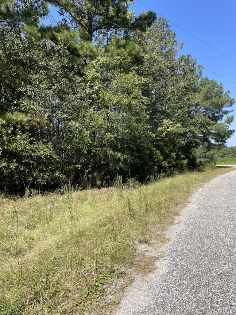 0 Daniel Betty Road Reevesville, SC 29471 - Photo 22 of 24 A18B4DC0-8D63-4E68-9774-4C9DC90F0553_1_1