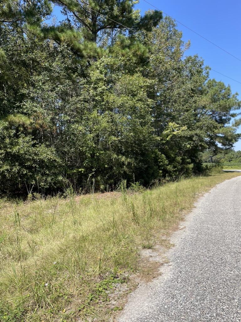 0 Daniel Betty Road Reevesville, SC 29471 - Photo 23 of 24 ED9434FE-E4C1-4440-89DE-88754ECA030A_1_1