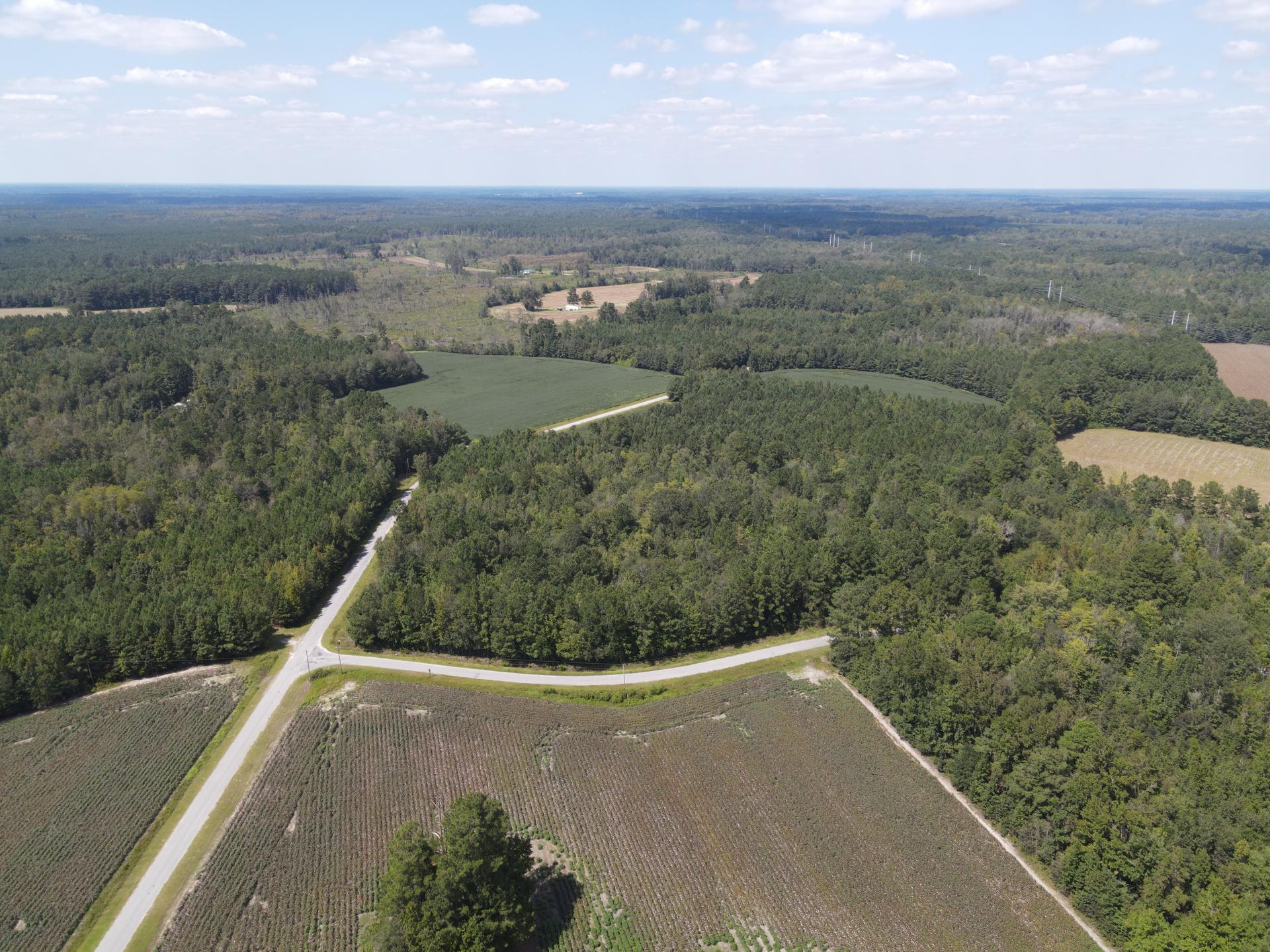 0 Daniel Betty Road Reevesville, SC 29471 - Photo 3 of 24 DJI_0277