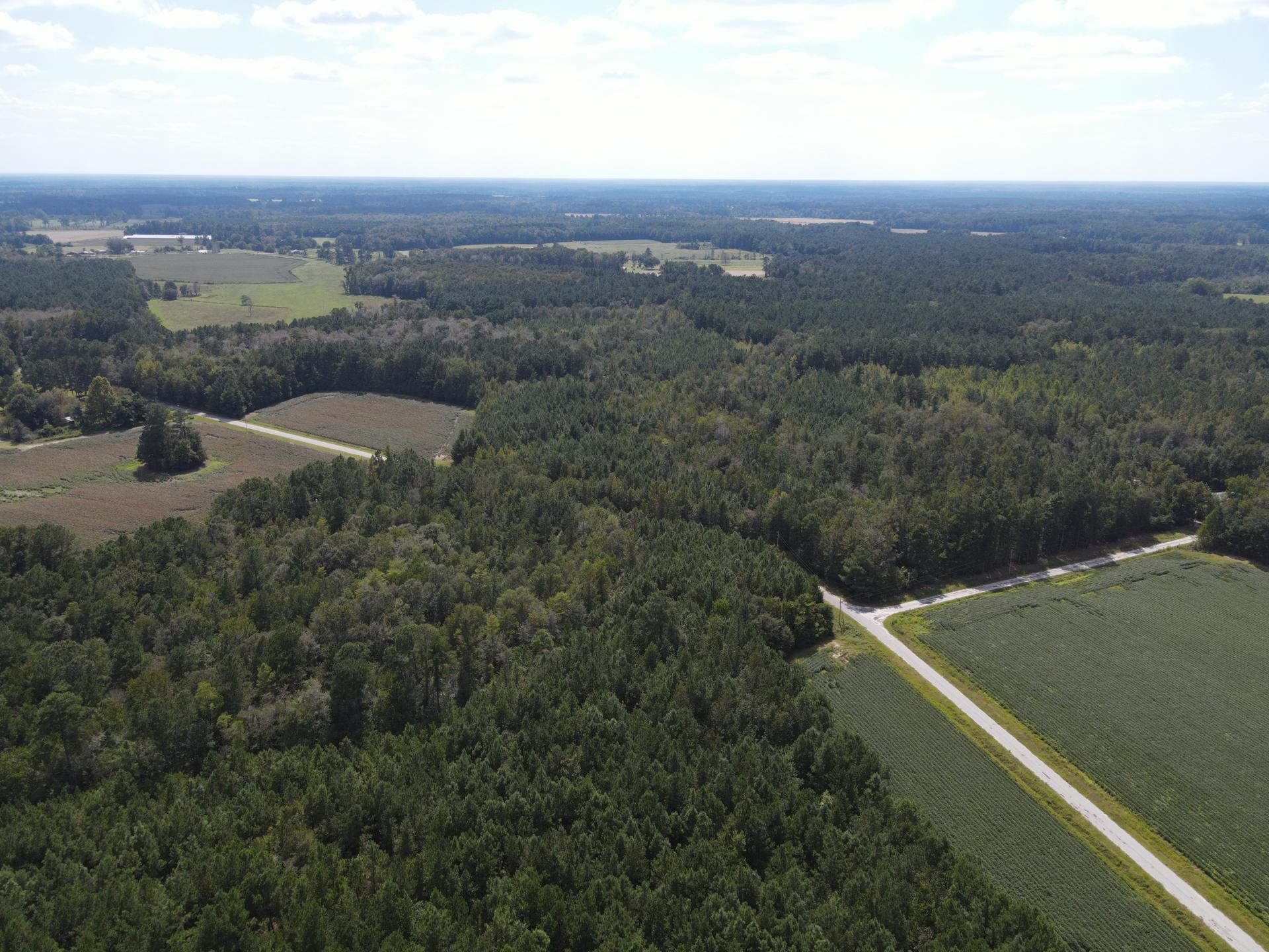 0 Daniel Betty Road Reevesville, SC 29471 - Photo 4 of 24 DJI_0281