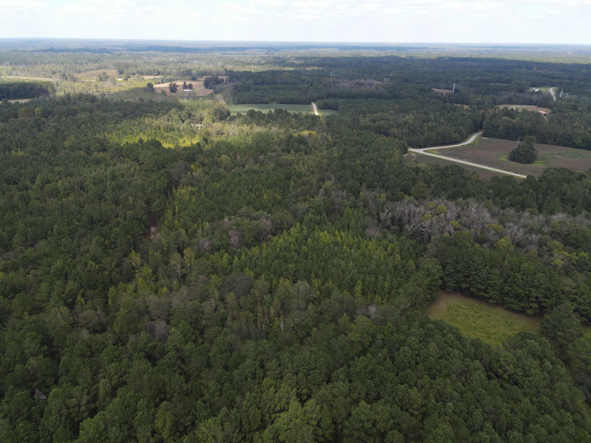 0 Daniel Betty Road Reevesville, SC 29471 - Photo 5 of 24 DJI_0288