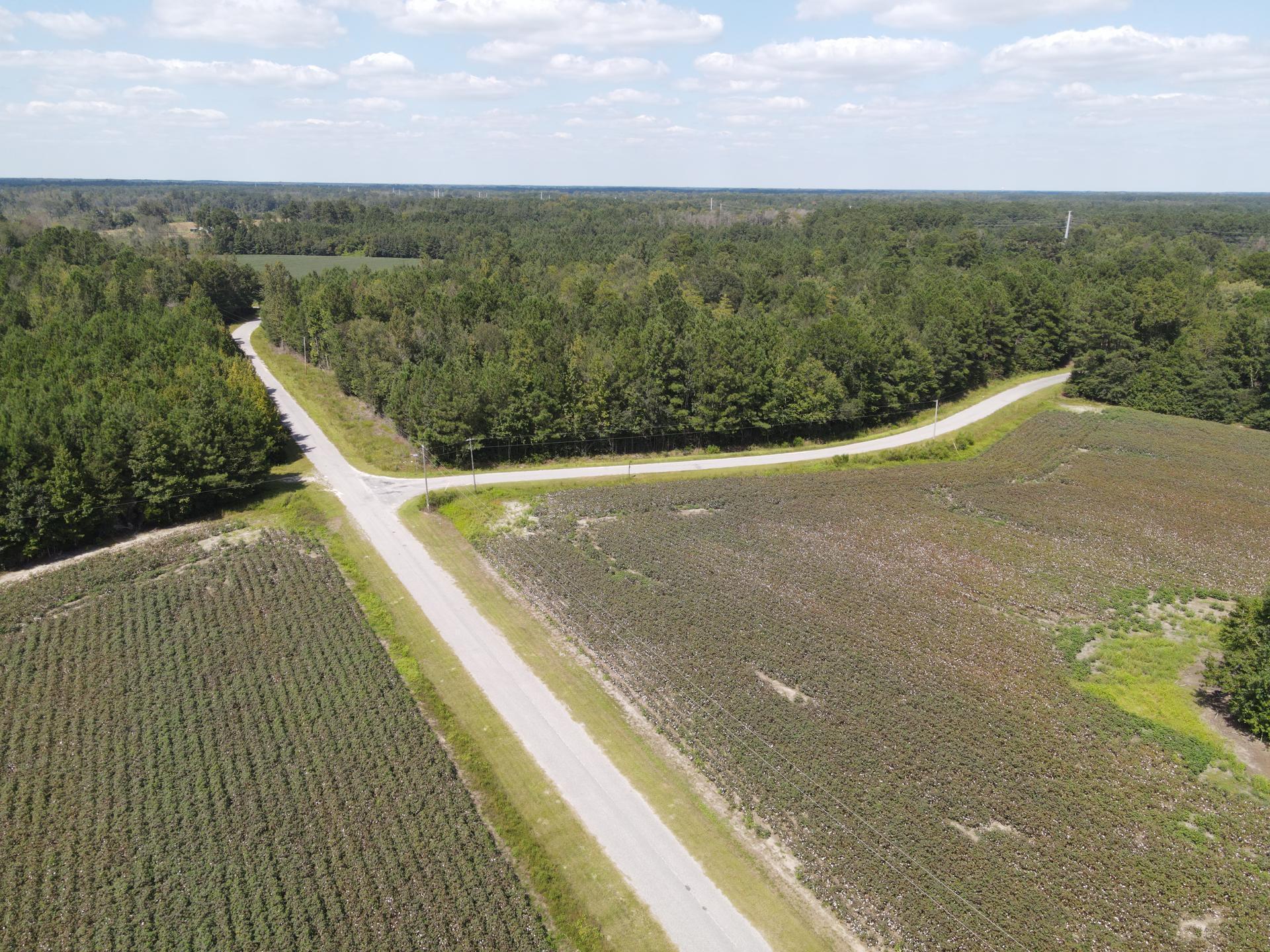 0 Daniel Betty Road Reevesville, SC 29471 - Photo 7 of 24 DJI_0294