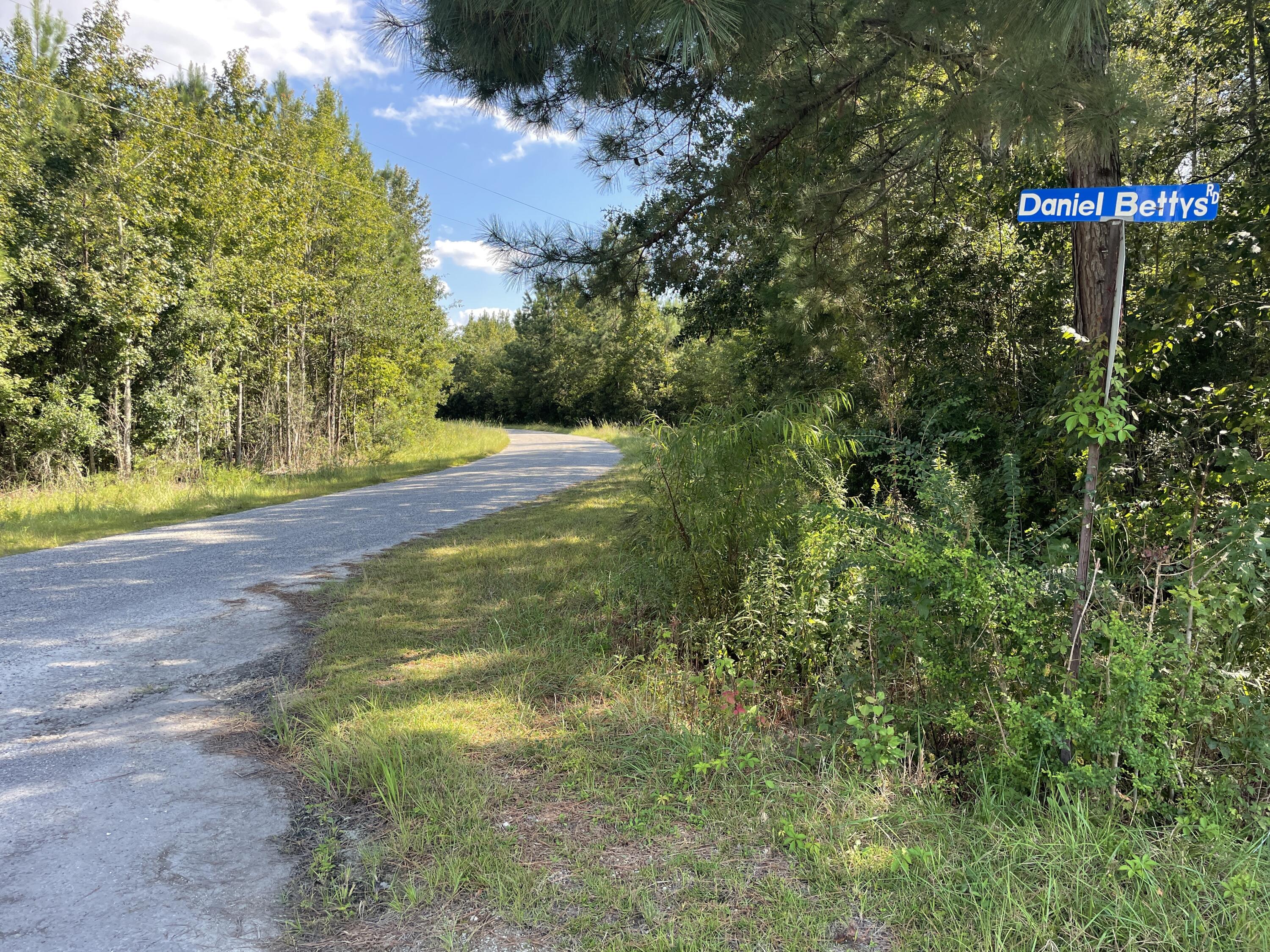 0 Daniel Betty Road Reevesville, SC 29471 - Photo 8 of 24 Photo Sep 15, 15 48 48