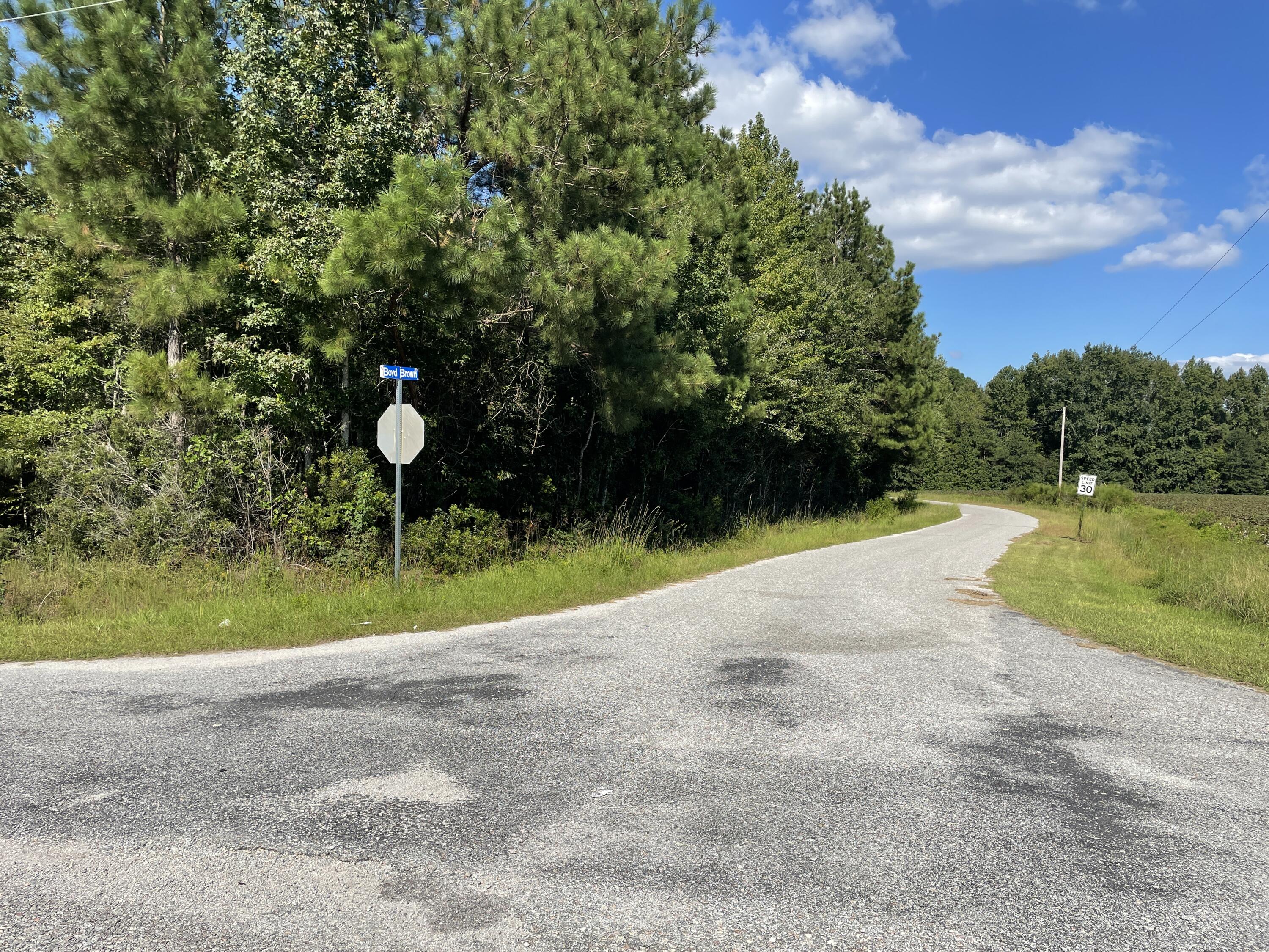 0 Daniel Betty Road Reevesville, SC 29471 - Photo 9 of 24 Photo Sep 15, 15 50 19